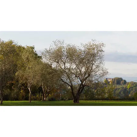 Casa In Lunigiana - Bianca Lägenhet Monti di Licciana Nardi